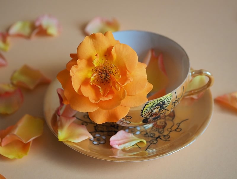 Vintage Teacup Candles